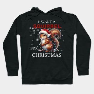 I Want a Squirrel For Christmas Squirrel Santa Hoodie